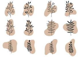 Boho Plant Art And Abstract Shape vector