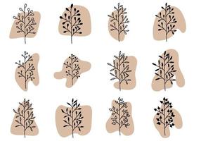 Boho Plant Art And Abstract Shape vector