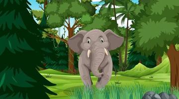 elefante en el bosque o la escena de la selva tropical con muchos árboles vector