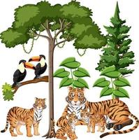 Group of tiger family with wild elements on white background vector