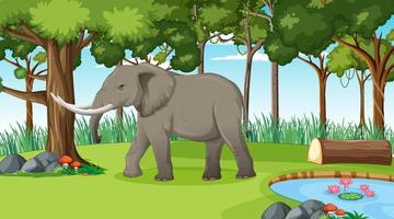 elefante en el bosque o la escena de la selva tropical con muchos árboles vector