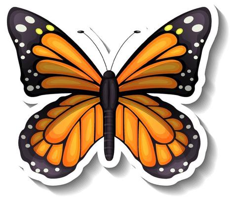 A sticker template with butterfly or moth isolated