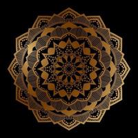 Luxury mandala background ethnic element vector