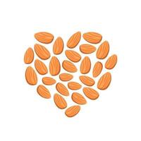 icono de nuez de almendra. corazón deshuesado. alimentos para una nutrición saludable vector