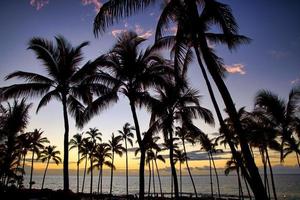 hermosa puesta de sol en la isla grande, costa de kohala, waikoloa, hawai foto
