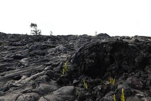 Lava en la cadena de cráteres road, Big Island, Hawaii foto