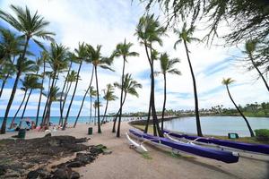 Estanque de peces en el parque histórico de Kalahuipuaa en la isla grande de Hawaii foto