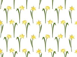 Seamless pattern with flowers daffodils vector