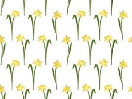 Seamless pattern with flowers daffodils vector