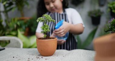 fille pulvérisant de l'eau sur une plante fraîchement en pot video