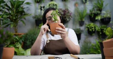 Woman Checking Potting Soil video