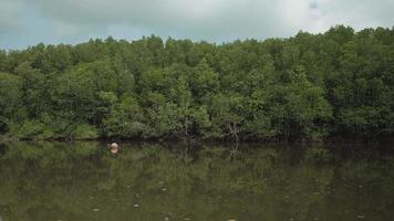 paisaje del ecosistema por rafting tradicional de bambú. video