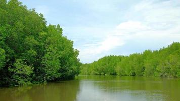 paisaje del ecosistema por rafting tradicional de bambú. video