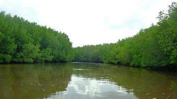 paisaje del ecosistema por rafting tradicional de bambú. video