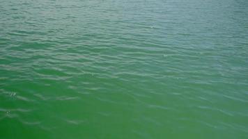 Fondo de textura de patrón de ondas de agua azul como la balsa turística avanza en la playa para unas largas vacaciones de verano. video