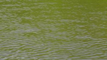 lo sfondo strutturato delle onde d'acqua è turbolento e giallo a causa del movimento della zattera crea un bellissimo motivo naturale. dà una sensazione profonda, sporca, calma e riflessiva. video