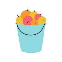 A bucket of apples, autumn harvest. Vector illustration