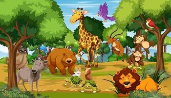 Wild animals in the jungle vector