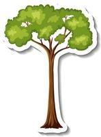 Sticker rainforest tree on white background vector