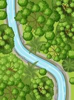 Aerial view with river through the forest landscape vector