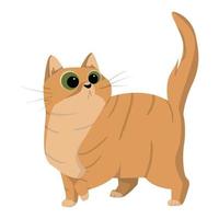 Realistic ginger surprised cat on a white background - Vector