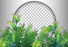 Round frame with tropical leaves template vector