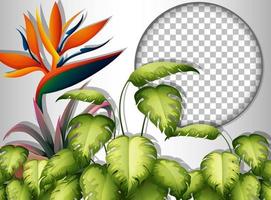 Round frame with tropical leaves template vector
