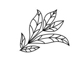 Hand drawn vector tree branch monoline