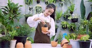 mulher cuidando de uma planta video