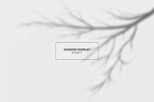 Shadow overlay effect on gray background mockup vector