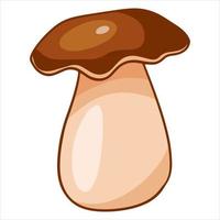 comida vegetariana. hongo porcini comestible. estilo de dibujos animados. vector