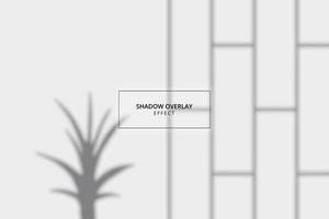 Shadow overlay effect on gray background mockup vector