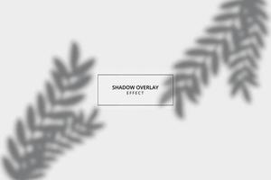 Plant shadow overlay effect on gray background vector