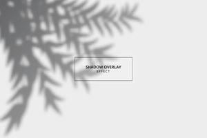 Plant shadow overlay effect on gray background vector