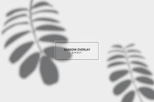 Shadow overlay effect on gray background mockup vector