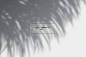 Plant shadow overlay effect on gray background vector