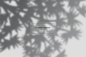 Plant shadow overlay effect on gray background vector