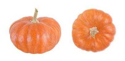 Orange pumpkin with side and top view isolated on a white background. photo