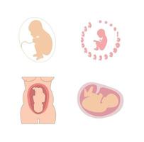 Set of four baby icons vector