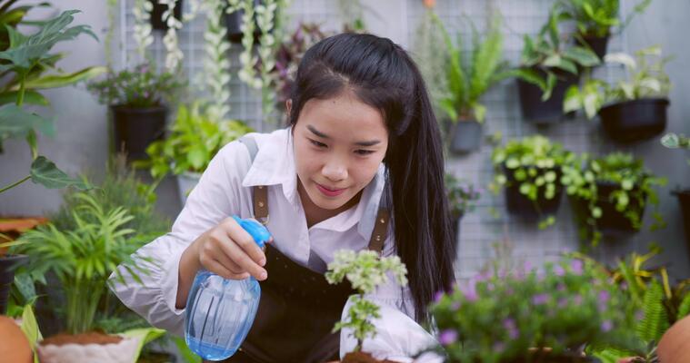 植物影片