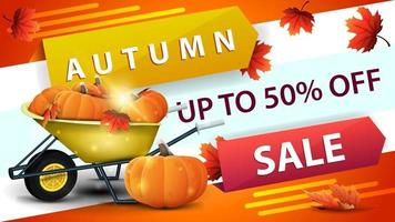 Autumn discount web banner with harvest of pumpkins and autumn leaves vector