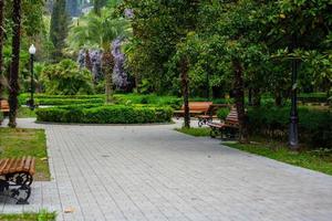 paisaje con un parque junto al mar. nuevo athos, abjasia foto