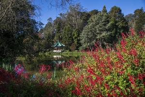 pabellón chino en golden gate park, san francisco, ca foto