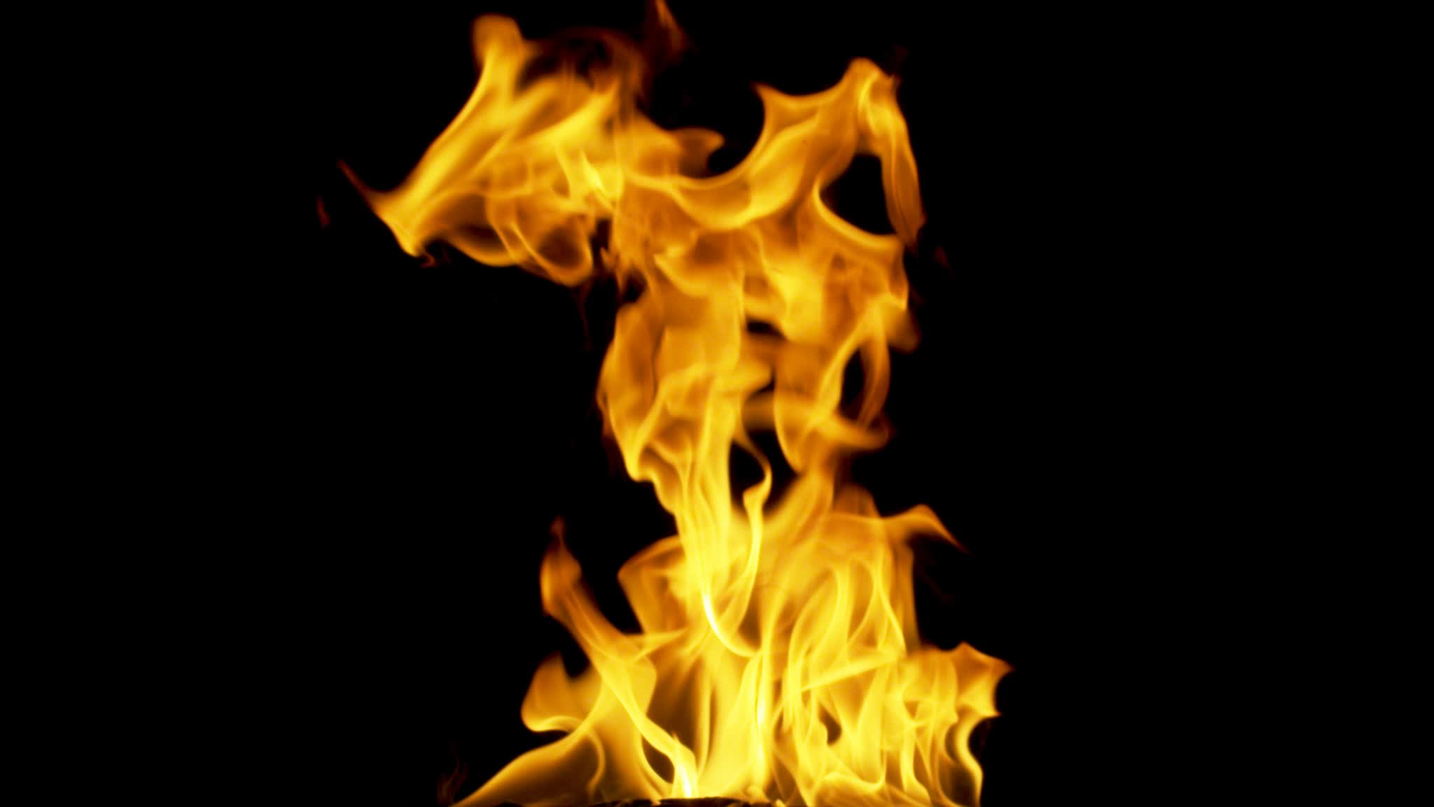 Fire Flame Stock Video Footage for Free Download