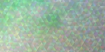 Light Green vector background with polygonal style.