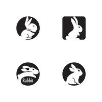 Rabbit vector icon illustration design