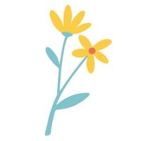 Yellow flowers. Daisies. Golden Bell, blossoming yellow flowers. vector