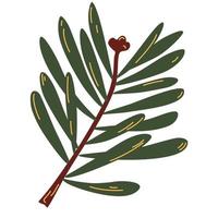 Spruce twig. Green tree branch. vector