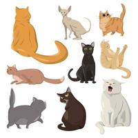 A selection of nine realistic cats on a white background - Vector