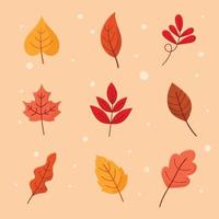 Autumn Leaves Collection vector